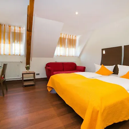 Stadthotel Kolping & Fryburg Bryzgowijski